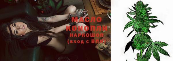 ГАЛЛЮЦИНОГЕННЫЕ ГРИБЫ Аркадак