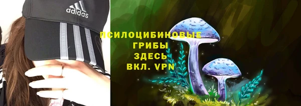 соль ск Арсеньев