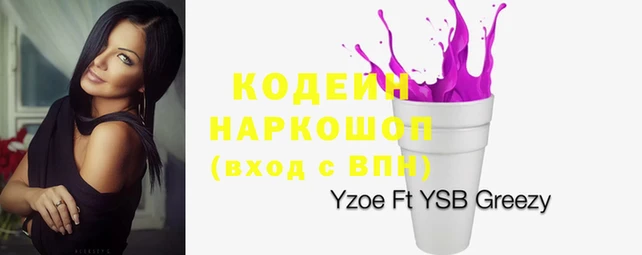 ГАЛЛЮЦИНОГЕННЫЕ ГРИБЫ Аркадак