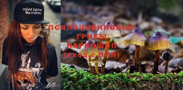 соль ск Арсеньев