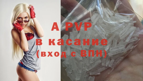 ГАЛЛЮЦИНОГЕННЫЕ ГРИБЫ Аркадак