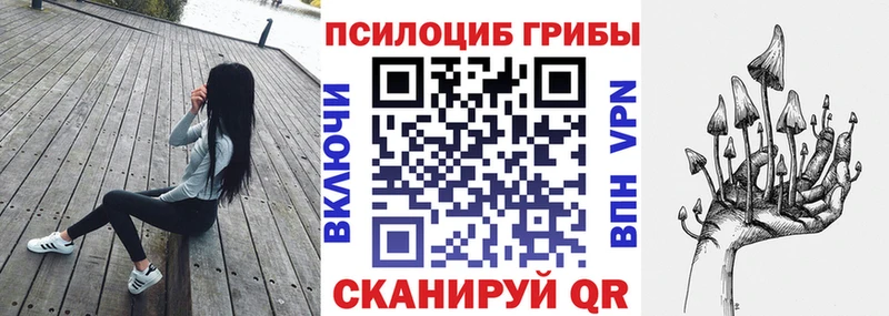 Галлюциногенные грибы мицелий  Окуловка 